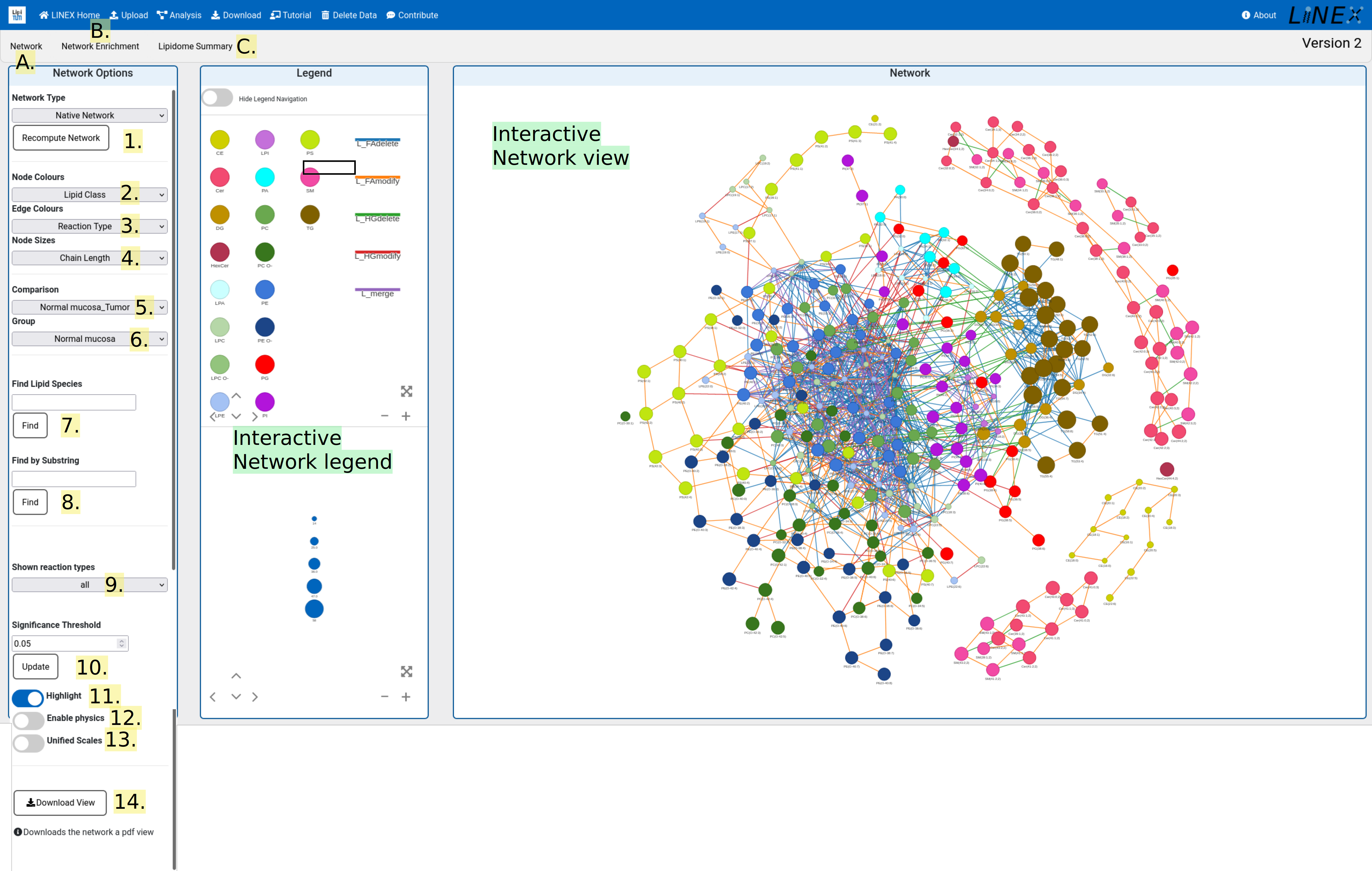 Analysis page with network view.